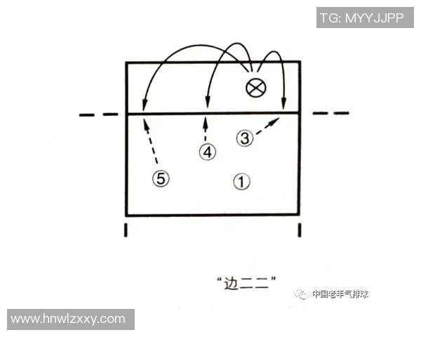 上海排球队整体压制体系解析与战术创新探讨